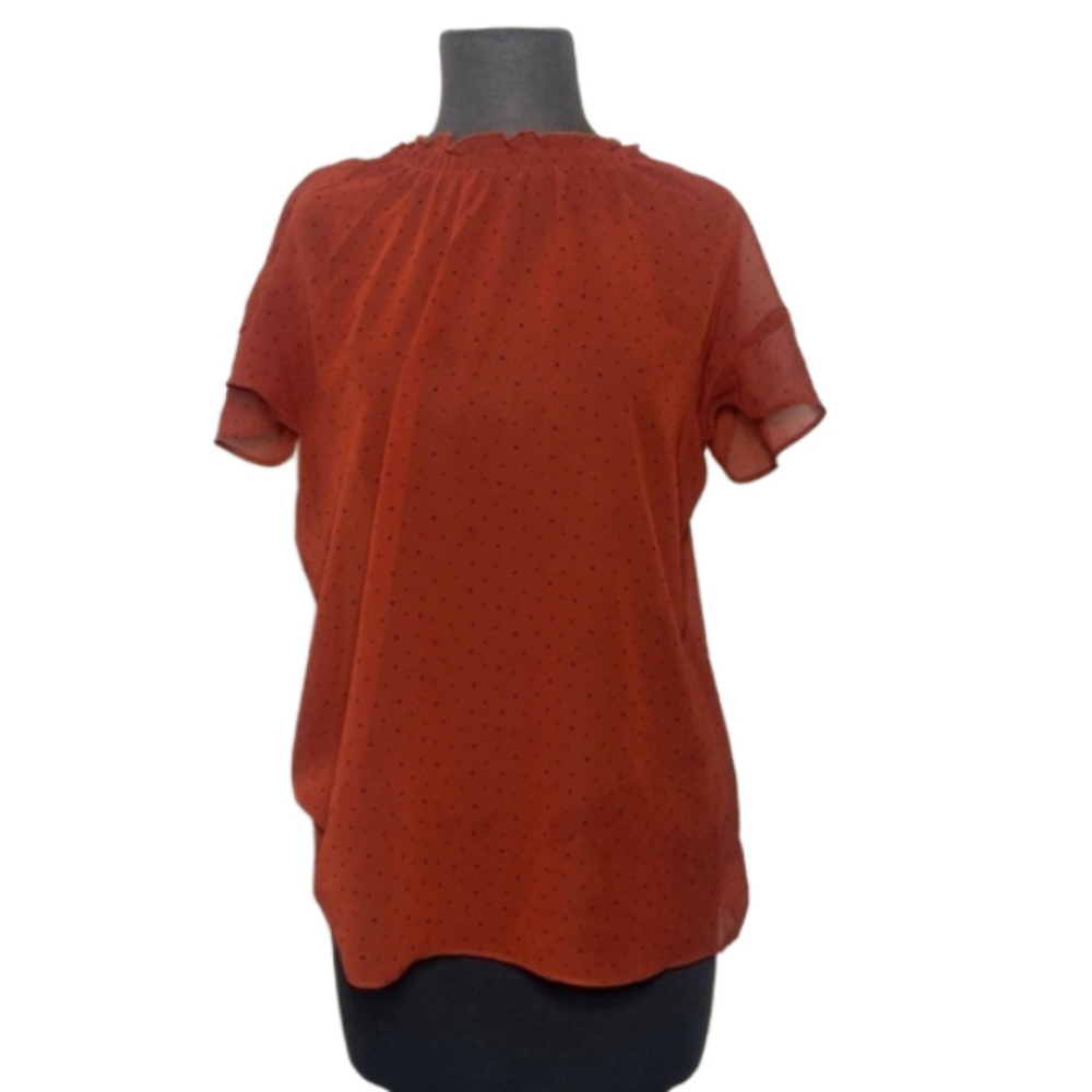 Women’s sheer Express top